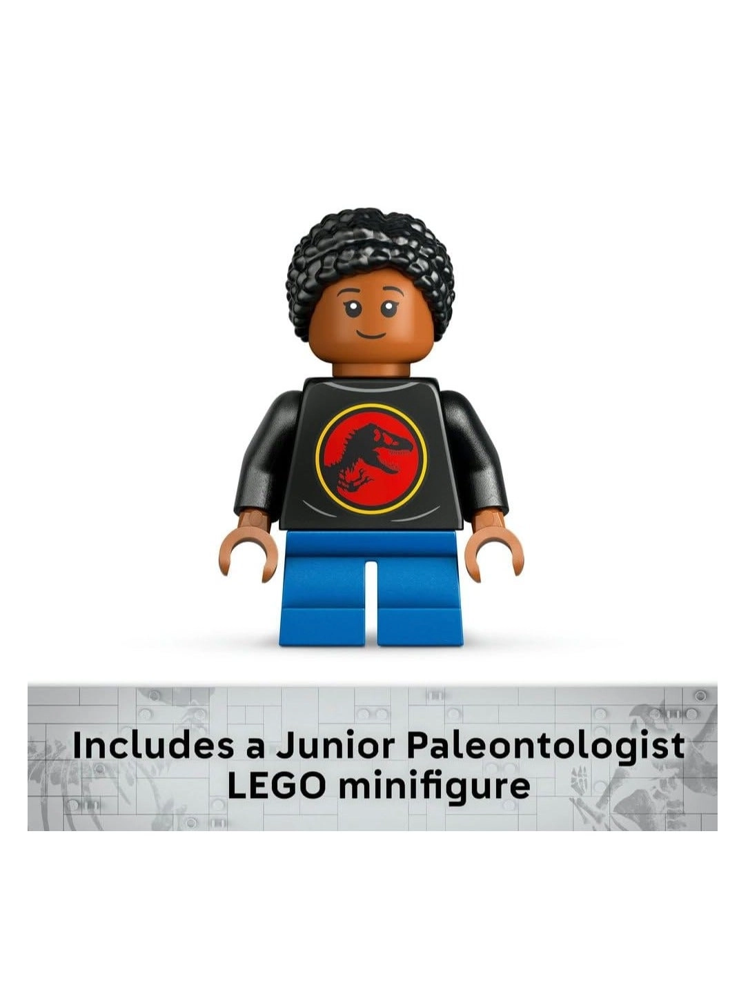 Jurassic World Triceratops Skull (76969)