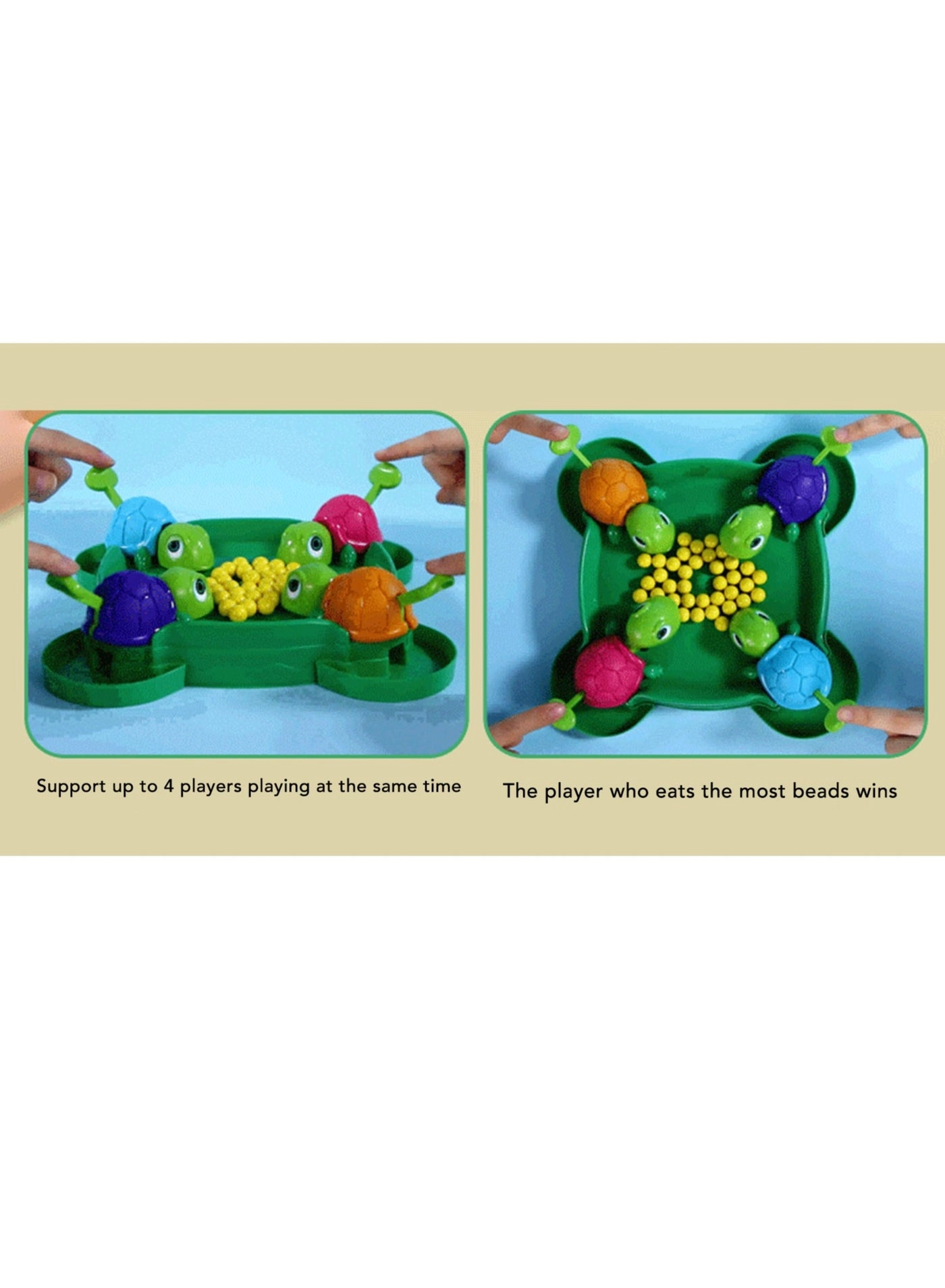 Hungry Turtles - Board Game For 2 to 4 Players