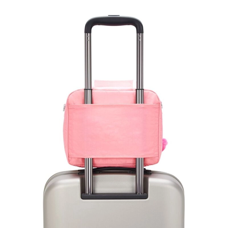 Miyo - Coral Fully Insulated Interior