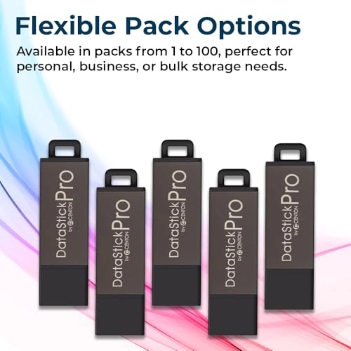 DataStick Pro - 16GB