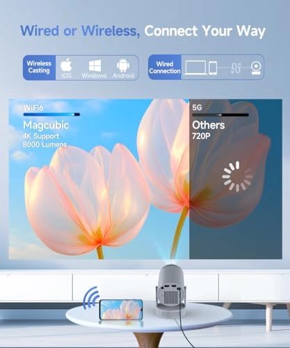 Freestyle HY300 200 ANSI