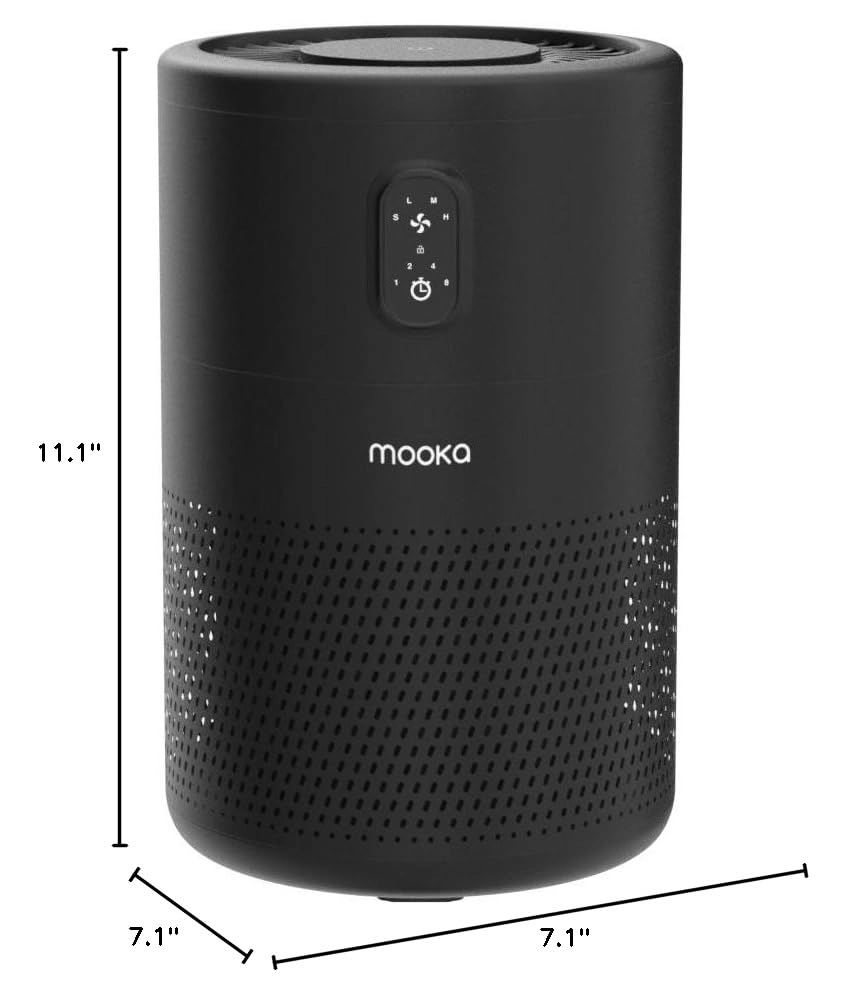 B-D02L - H13 True HEPA 1076ft²