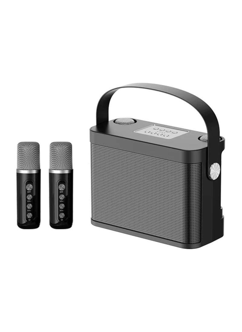 ELTRAZONE YS-219 - 2 Wireless Microphones