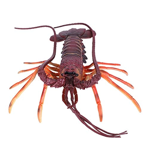Lobster Model Toy