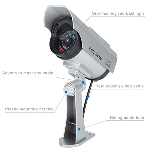 Bullet - Indoor and Outdoor