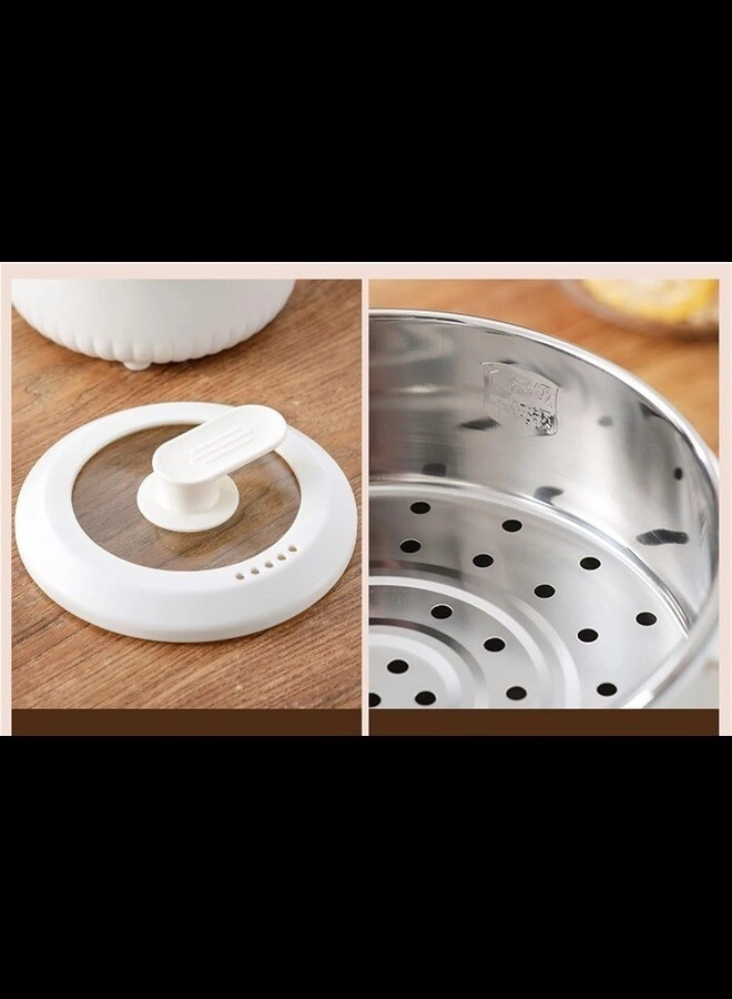 Stock Pot Electric Cooker