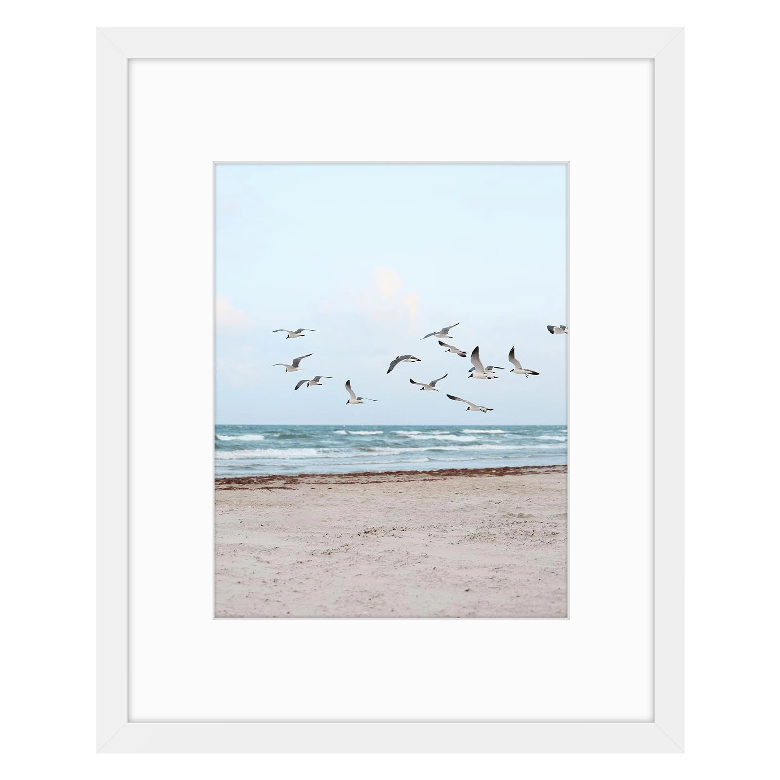 16x20 Frames Display