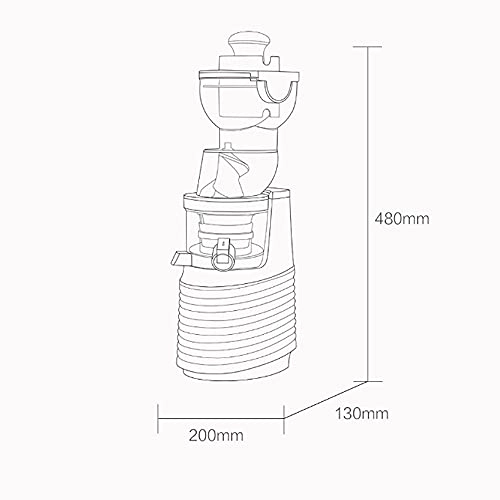 Electric Fruit Juicer