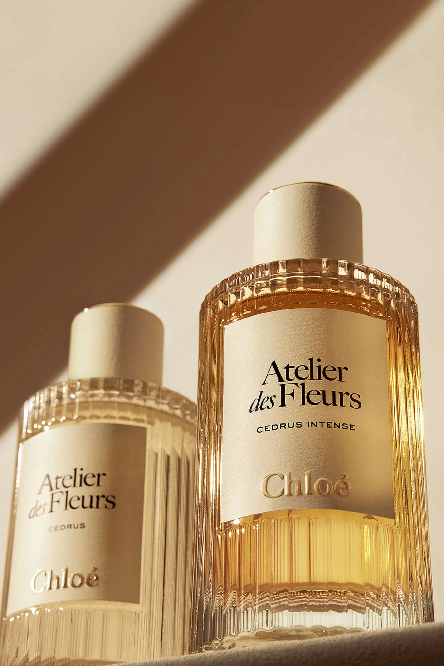 Atelier des Fleurs Cedrus Eau de Parfum 50 ml