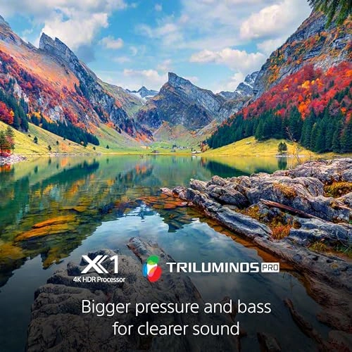 KD65X85L-R - 65 inch