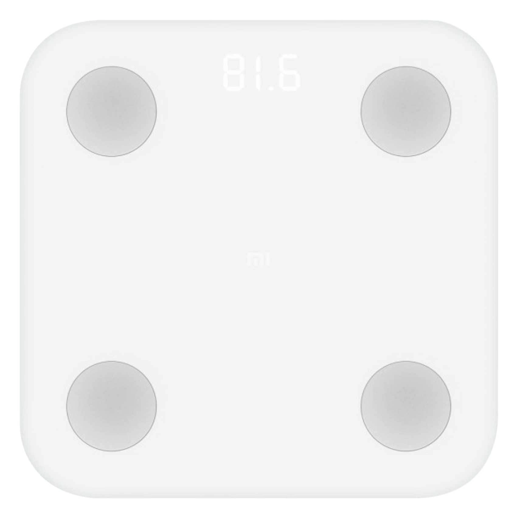 Body Composition Scale