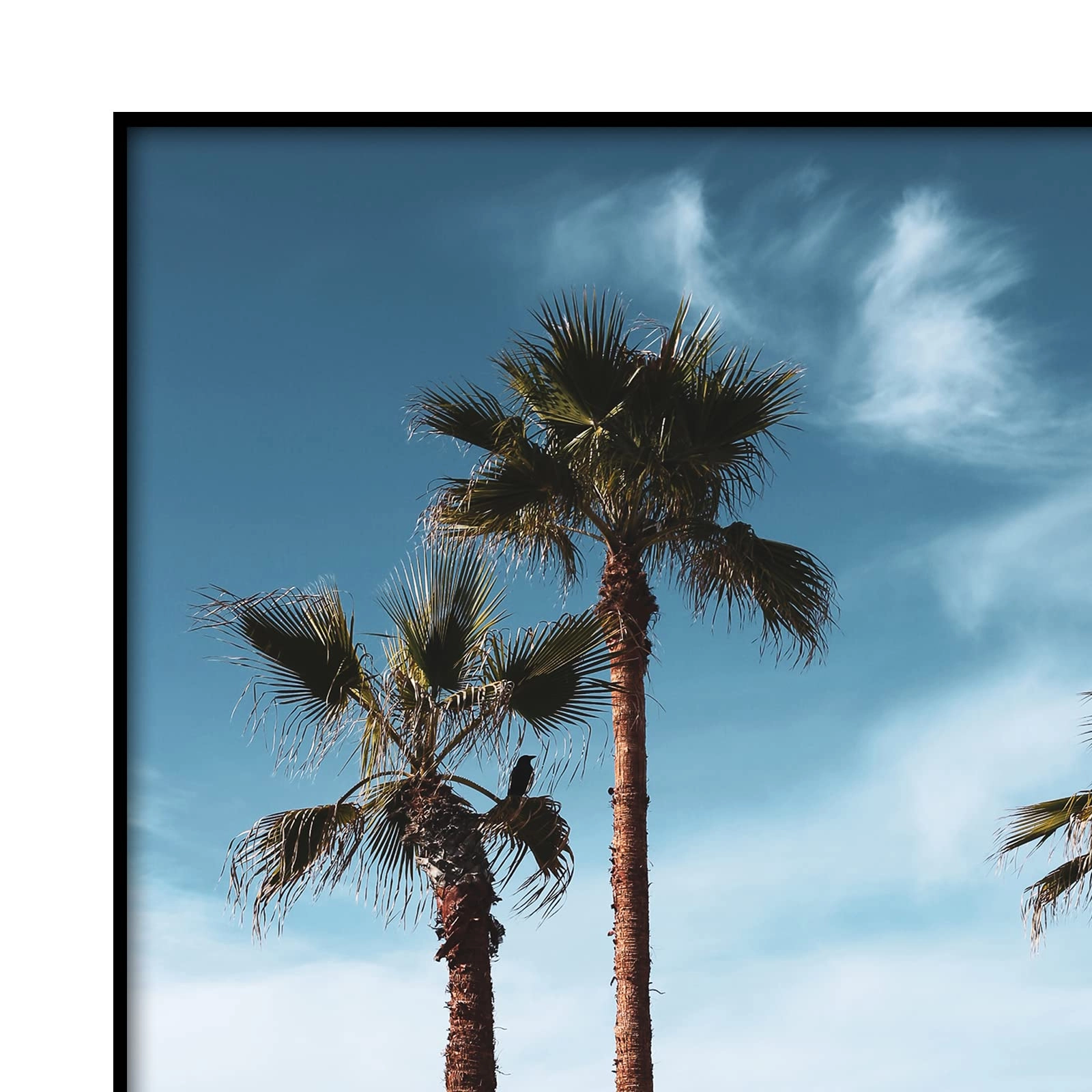 Front Loading Picture Frame - 13x19