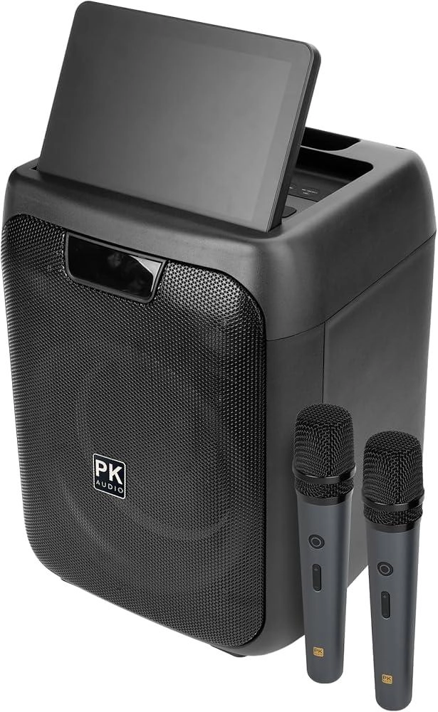 LX15 - Dual Wireless with Echo Effect 1200W PMPO