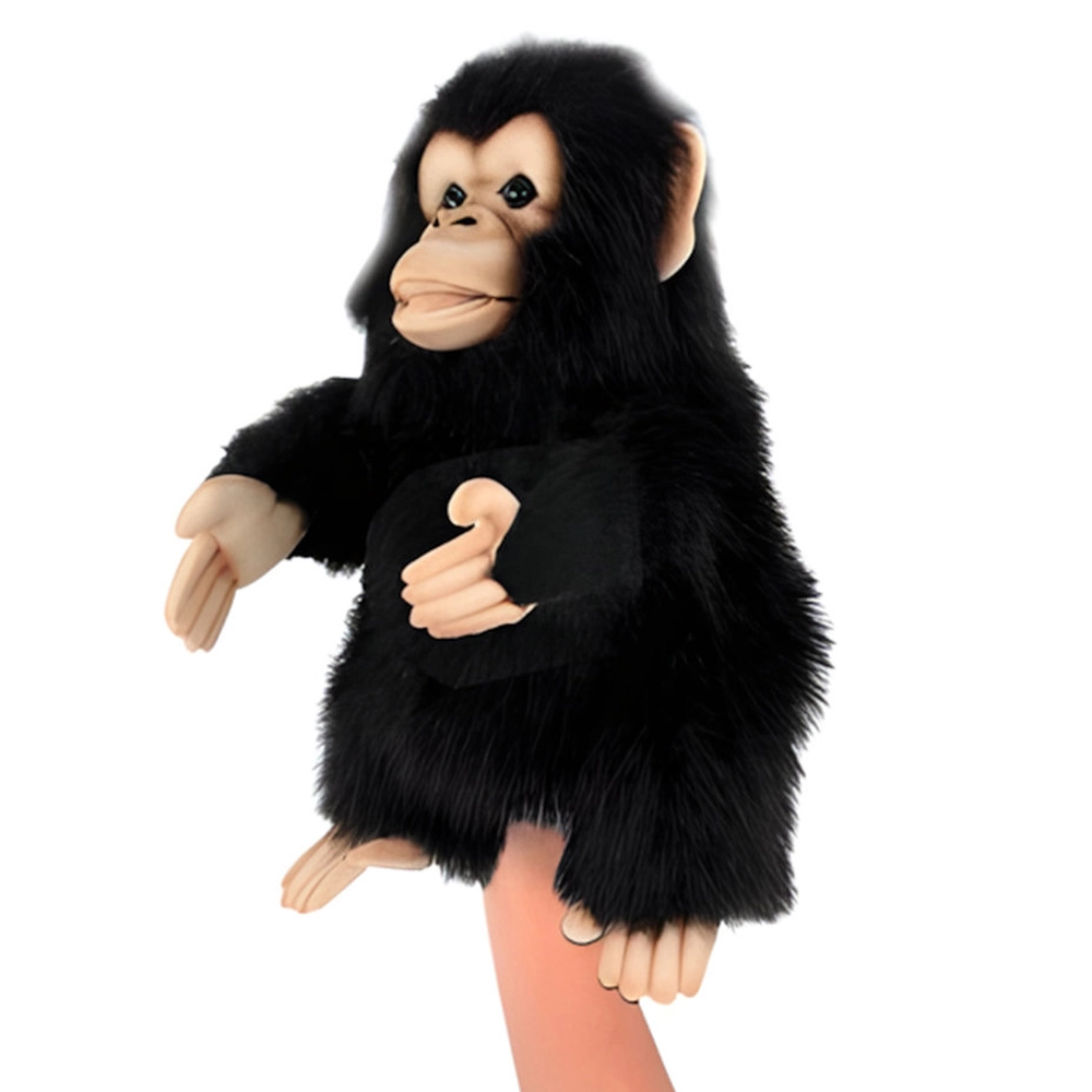 HANSA LOCAL Chimpanzee