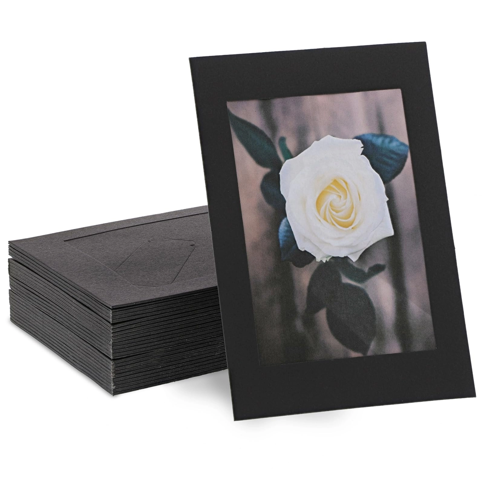 Paper Picture Frames - 4x6 Single