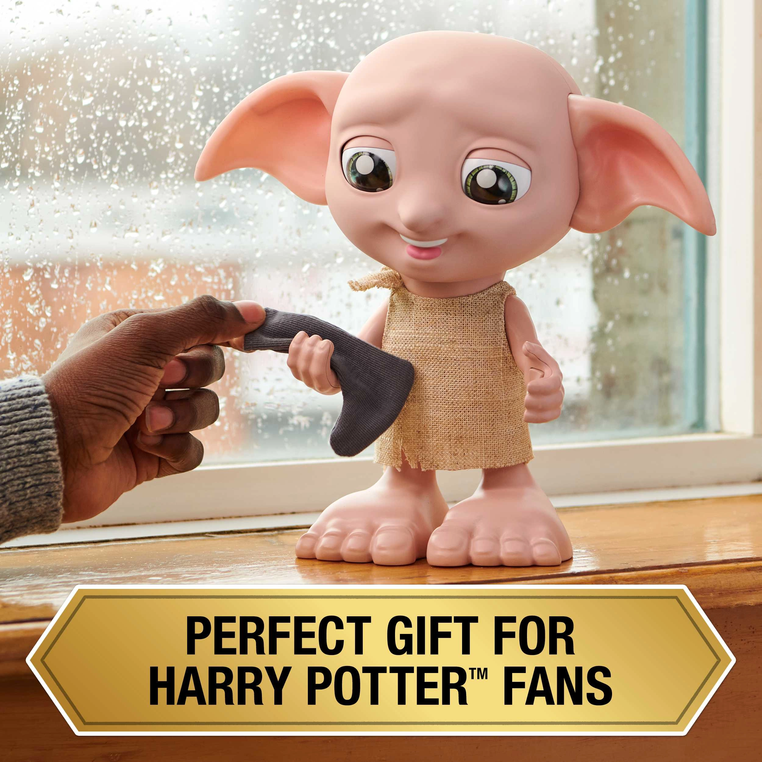 Interactive Dobby