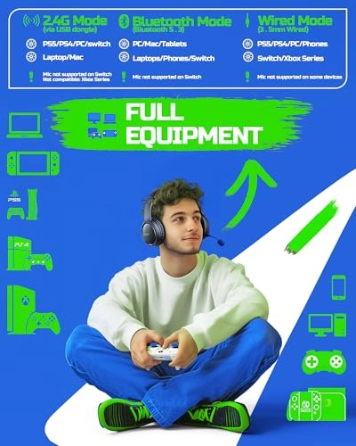 BW02-BT Wireless Headset