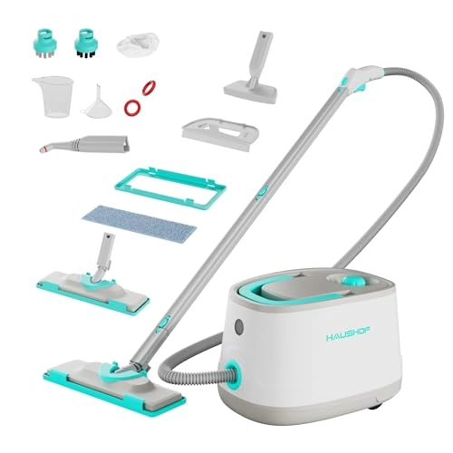 Dampfreiniger 2000W - 4 bar 1.5 L