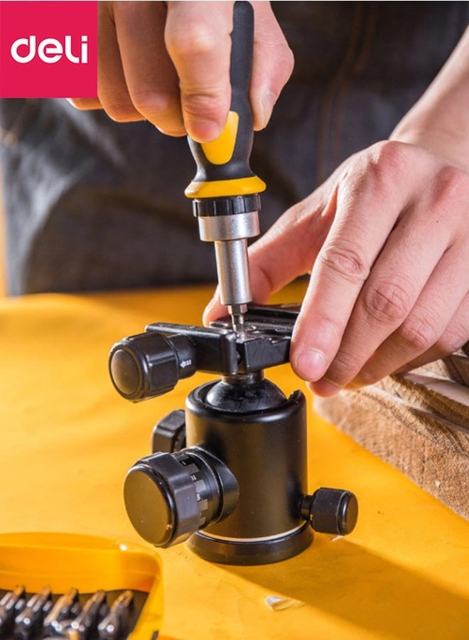 DL3565 Precision Slotted and Phillips Screwdriver Set (65 Pcs)