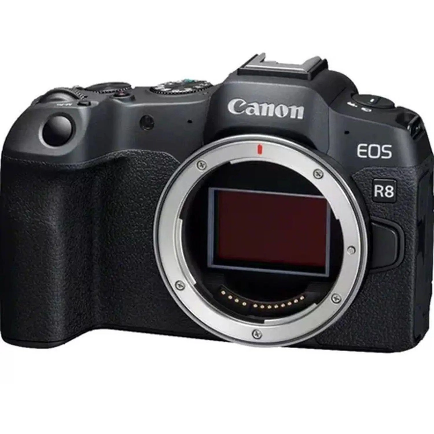 EOS R8 - 24.2MP + RF 24-105mm F4-7.1 IS STM
