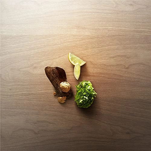 Wood Eau de Toilette 100 ml