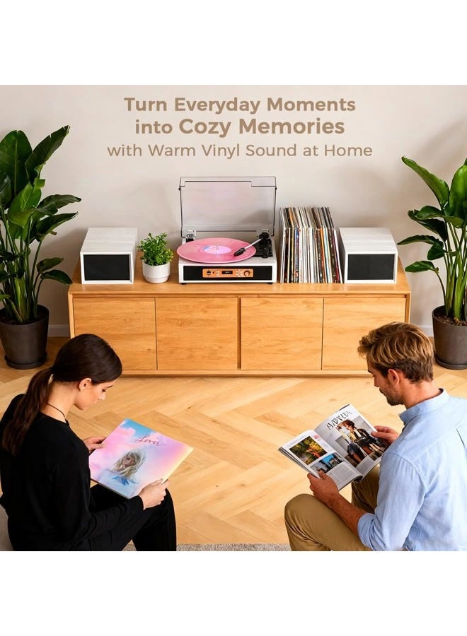 TE-2033B - 3-speed belt-drive