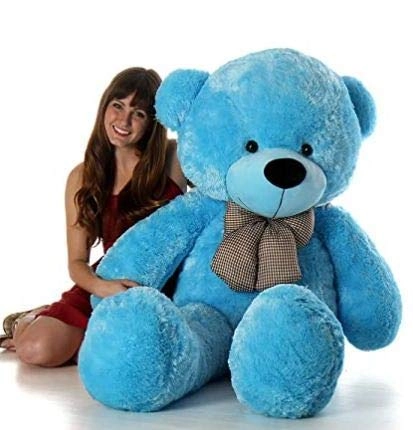 Teddy bear