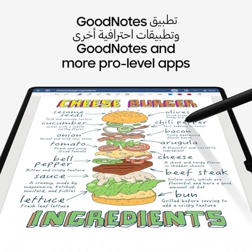 Galaxy Tab S9 Ultra - 1000GB 14.6"