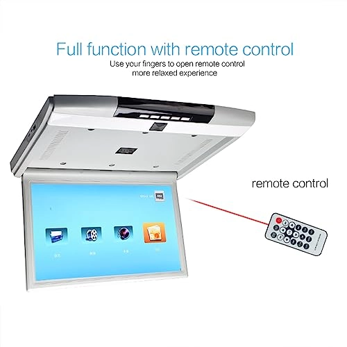 Car Video Player - 17.3 Inch