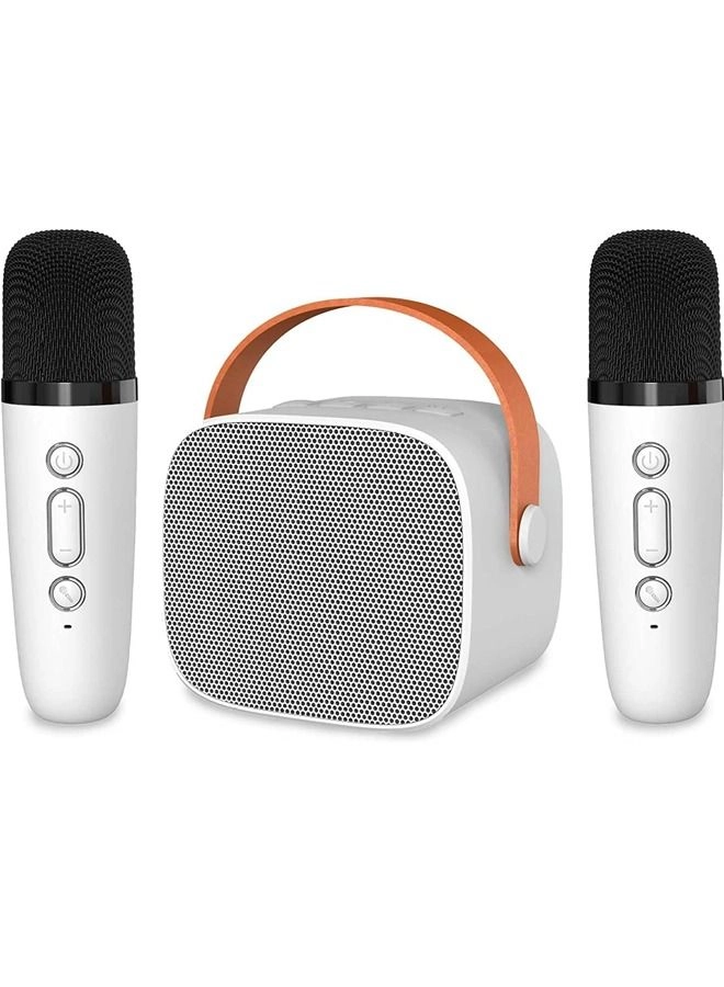 Karaoke Bluetooth Speaker - High Volume Wireless Dual Mic RGB Lights