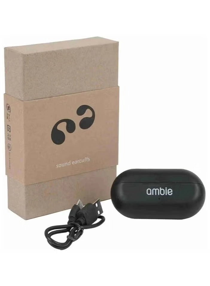 AM-TW01 Wireless Earphone