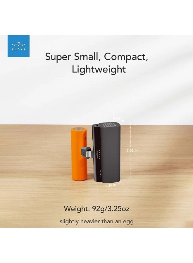 Mini - 5000 Watt-hour 20 Watt