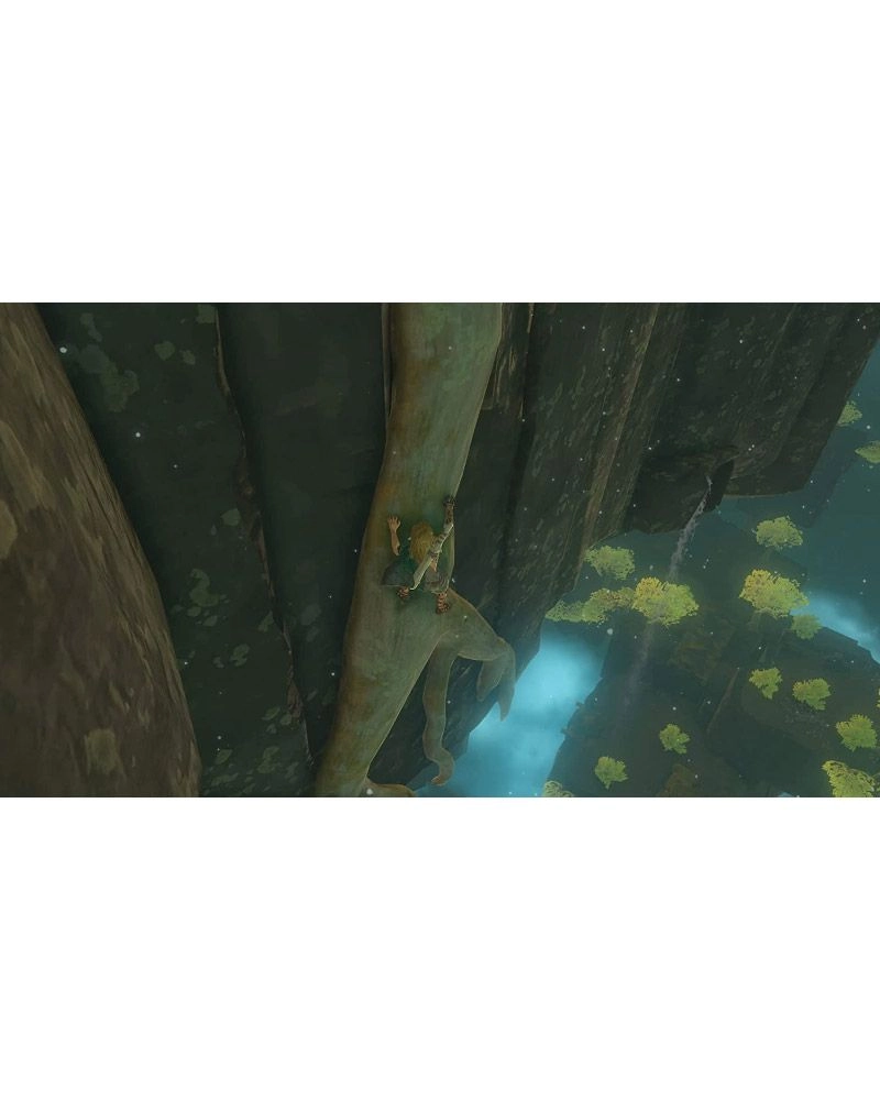 The Legend of Zelda: Tears of the Kingdom - Nintendo Switch