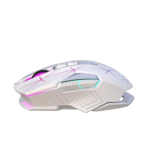 T300 - 2.4G Wireless