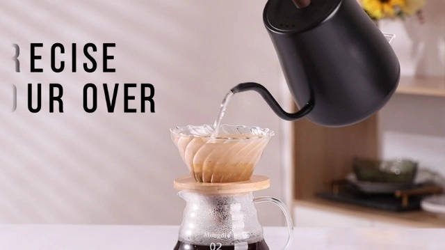 Gooseneck Electric Kettle