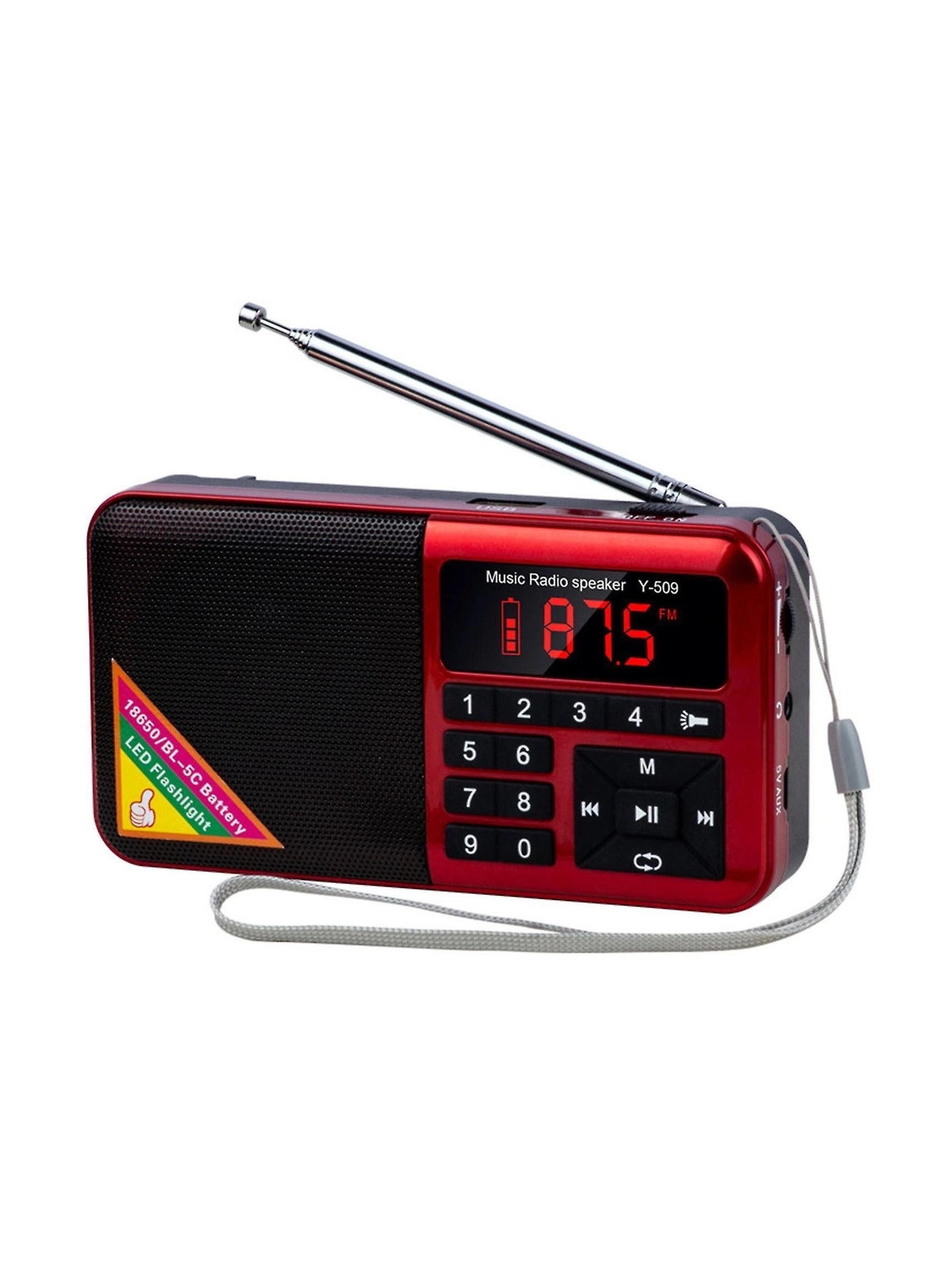 Bluetooth Radio Speaker - FM