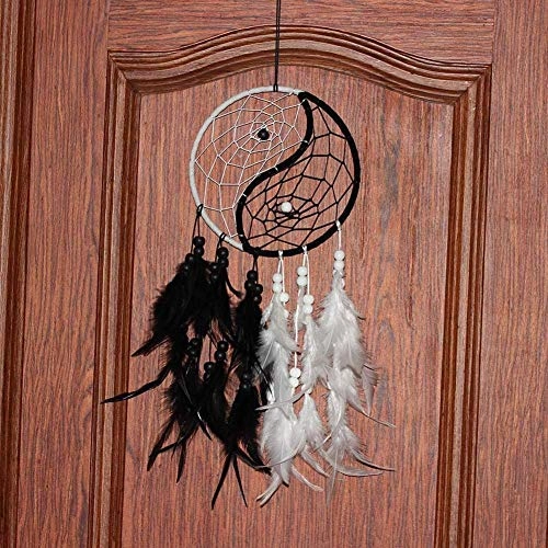 Dreamcatcher - Siderosphere, feathers, lines, wood beads.