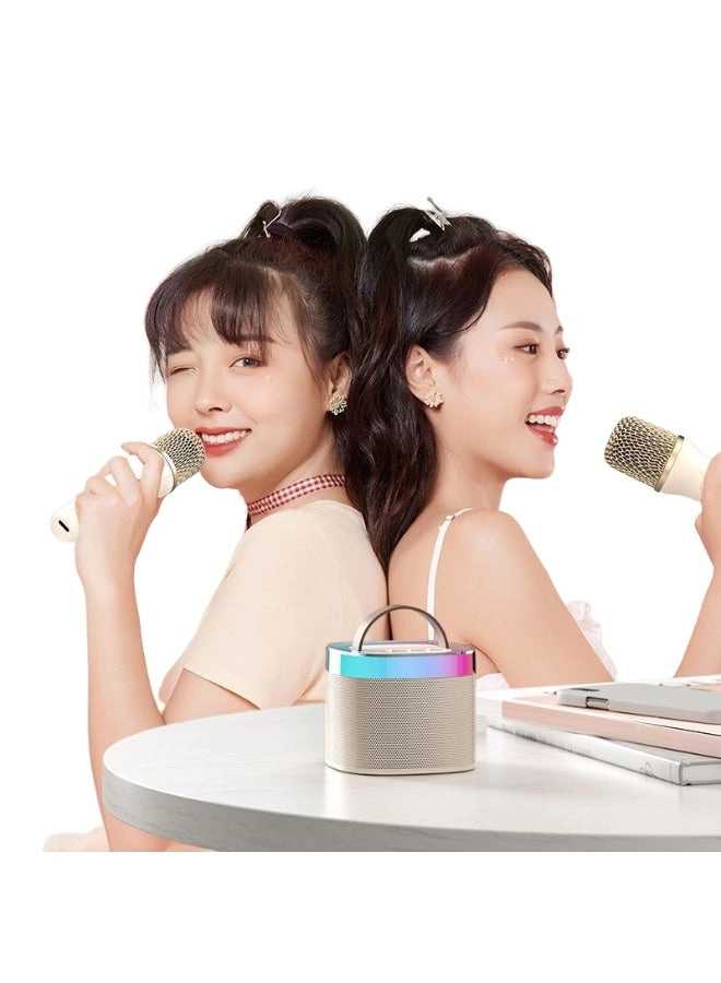 LED Bluetooth Karaoke Speaker - Dual Microphones