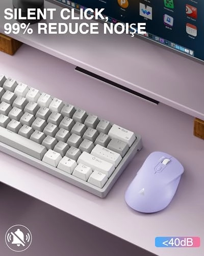 SM66 Silent Dual-Mode Mouse - Wireless