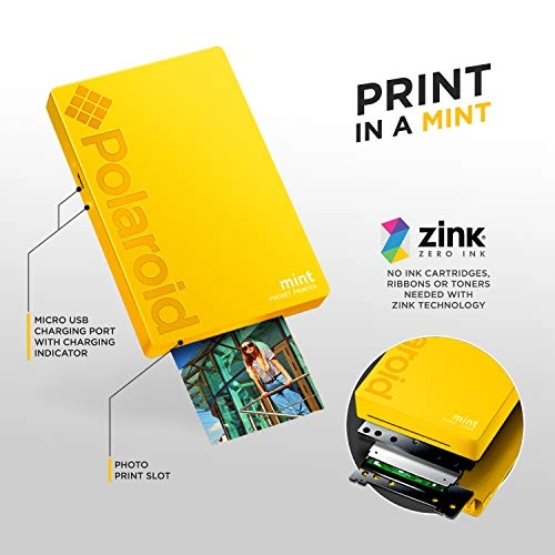 Mint POLMP02Y - 2" x 3"