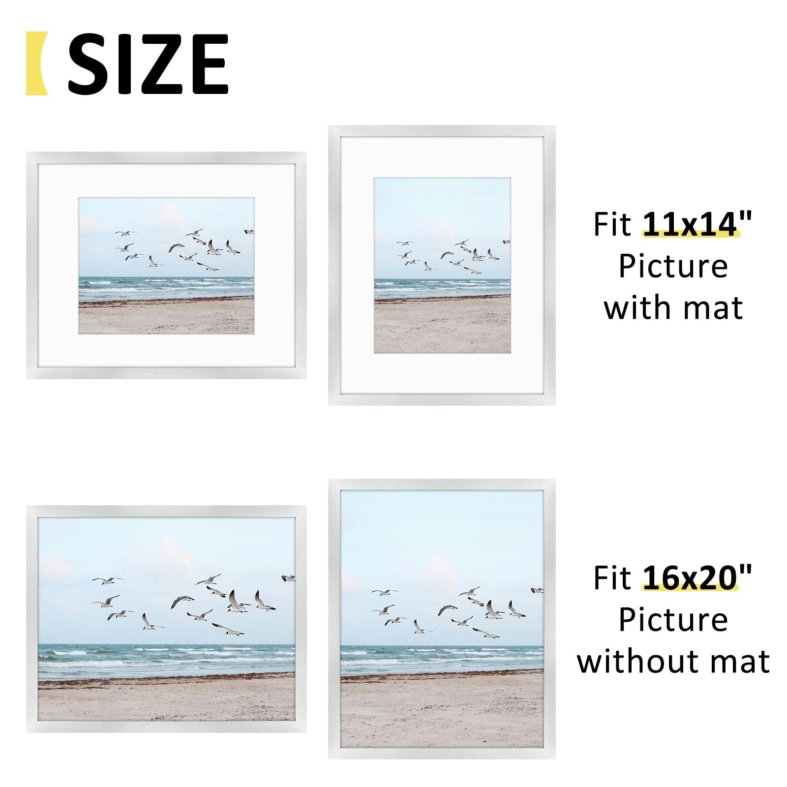 16x20 Frames Display
