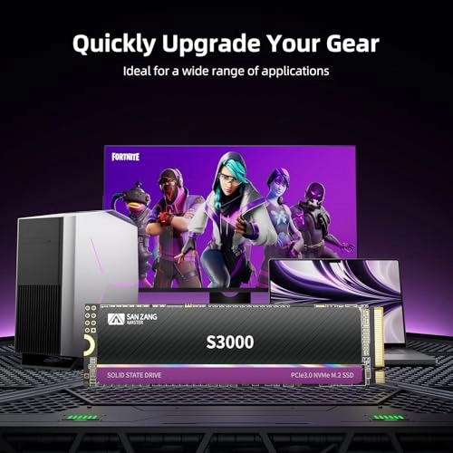 S3000 - 1TB 2280 Inches