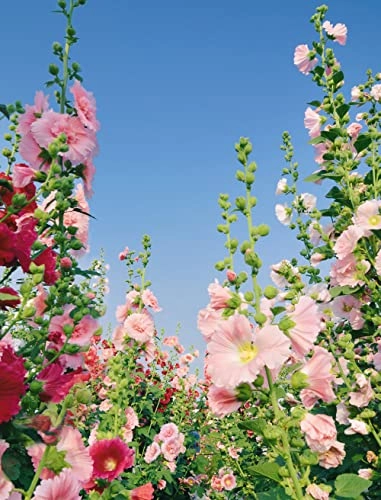 Garden Party Eau de Parfum