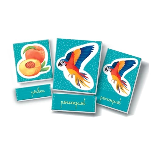 Words in Montessori Images - 3 years and up 20 pieces