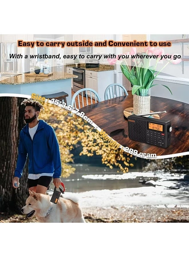 D-109 - Portable Radio