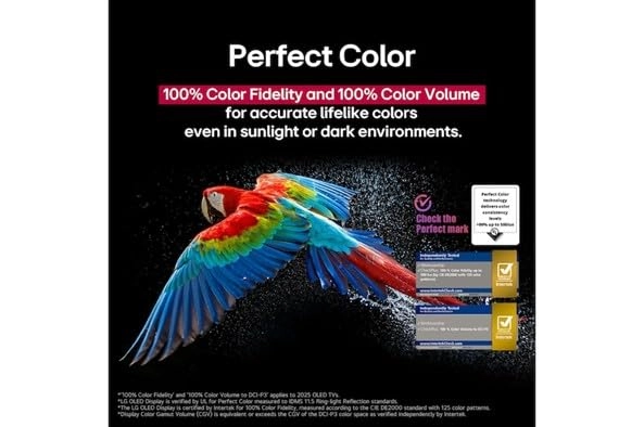 OLED55CS5VA-AMAE - 55"