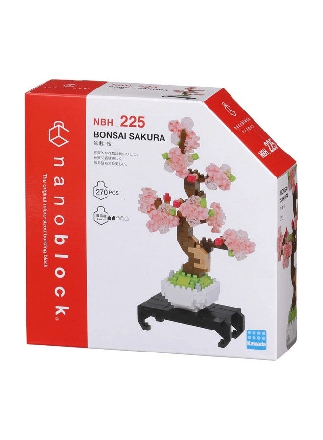 Bonsai Sakura - Culture