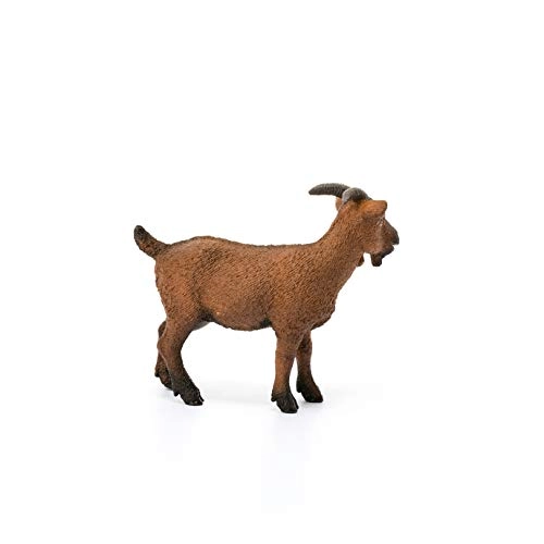 Sc13828 Goat