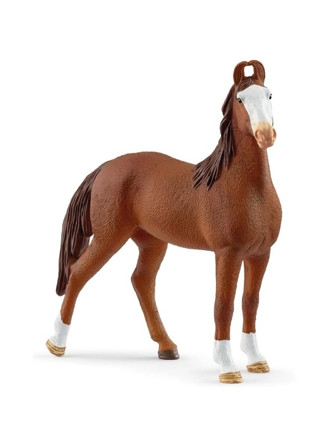 schleich Horse Club - Marwari Mare (4059433770116)