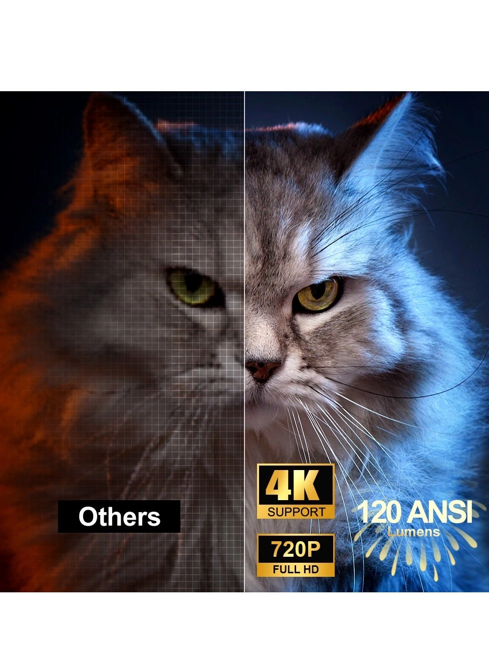 HY-300 120ANSI Lumens